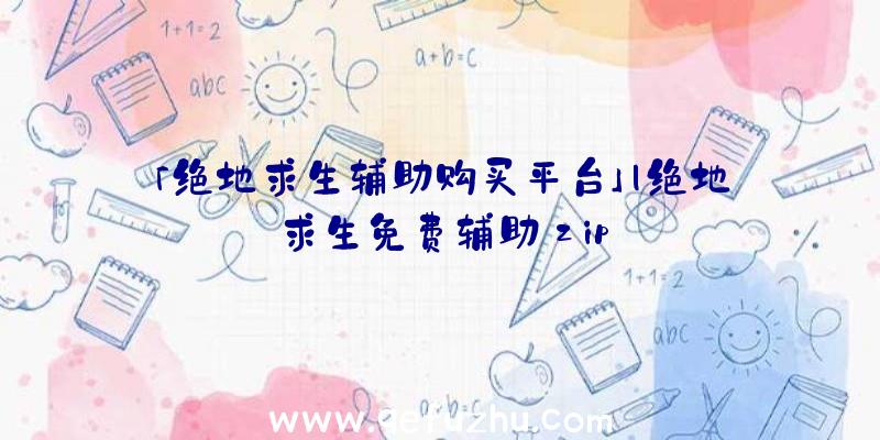 「绝地求生辅助购买平台」|绝地求生免费辅助zip